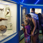 PUCRS’ Science and Technology Museum launches exhibit Marcas da Evolução (Traits of Evolution)
