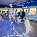 PUCRS’ Science and Technology Museum launches exhibit Marcas da Evolução (Traits of Evolution)