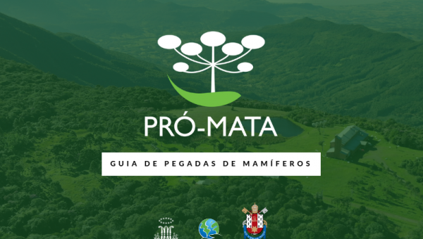 Institute for the Environment releases Reference Guide for Pró-Mata Mammal Footprints