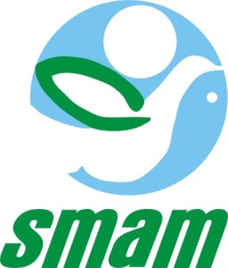 SMAM_Color