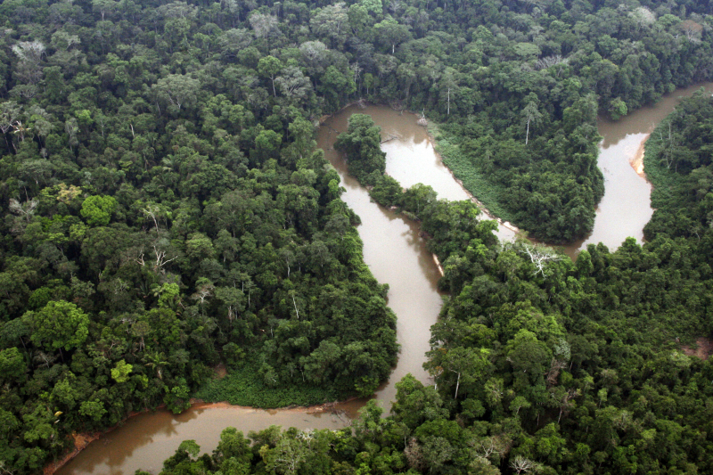 Dia da Amazônia: maior floresta tropical do mundo contribui para a regulação do clima