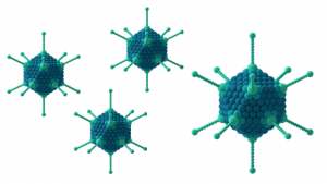 virus1