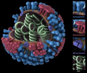 virus2