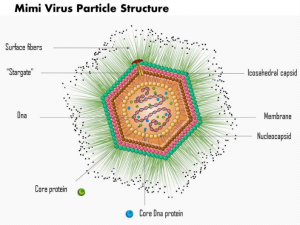 virus4