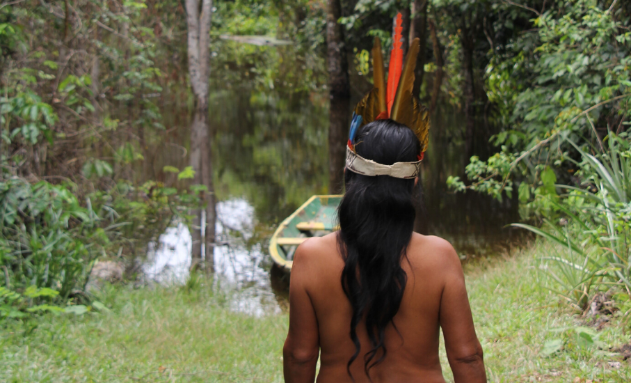 Pesquisador ressalta a sabedoria dos povos indígenas para química e tecnologia moderna 